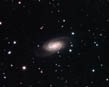 ngc2903