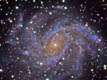 ngc6946